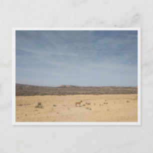 Cartão Postal Bardenas Reales (Espanha)