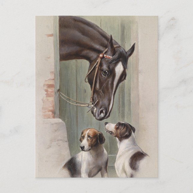 Cartão Postal Barn Buddies (Frente)