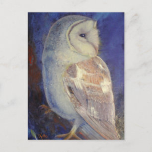 Cartão Postal Barn Owl