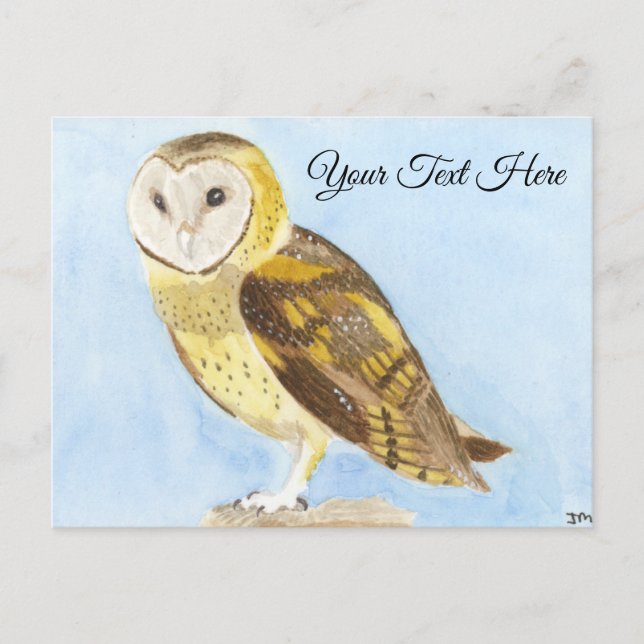 Cartão Postal Barn Owl (Frente)