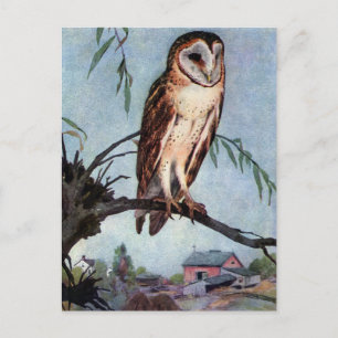 Cartão Postal Barn Owl, Farmhouse e Barn