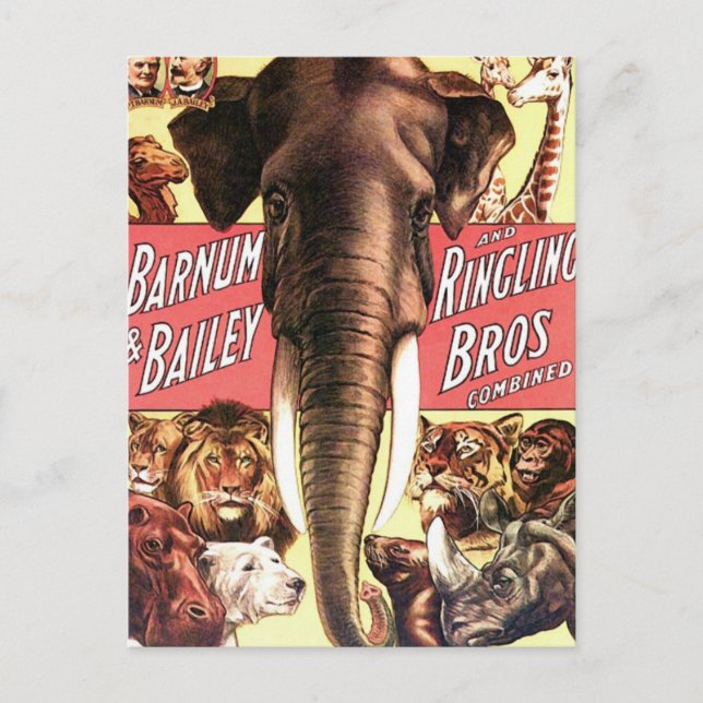 Cartão Postal Barnum & Bailey e Ringling Bros Combinados - Eleph (Frente)