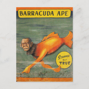 Cartão Postal Barracuda Ape