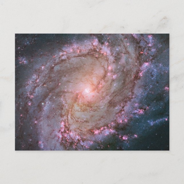Cartão Postal Barred Spiral Galaxy Messier 83. (Frente)