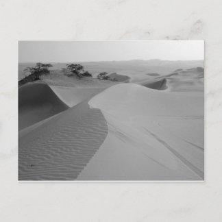 Cartão Postal Barren