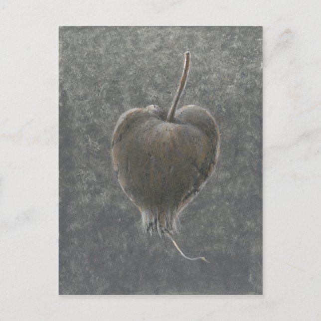 Cartão Postal Barringtonia Acutangula 2 (Frente)