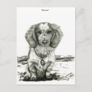 Cartão Postal Barron