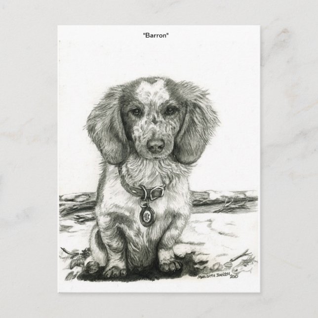 Cartão Postal Barron (Frente)