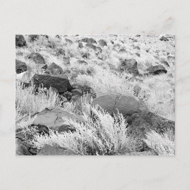 Cartão Postal Basalt Lava Rocks in Desert, Black and White Photo (Frente)