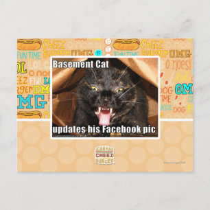 Cartão Postal Basement Cat