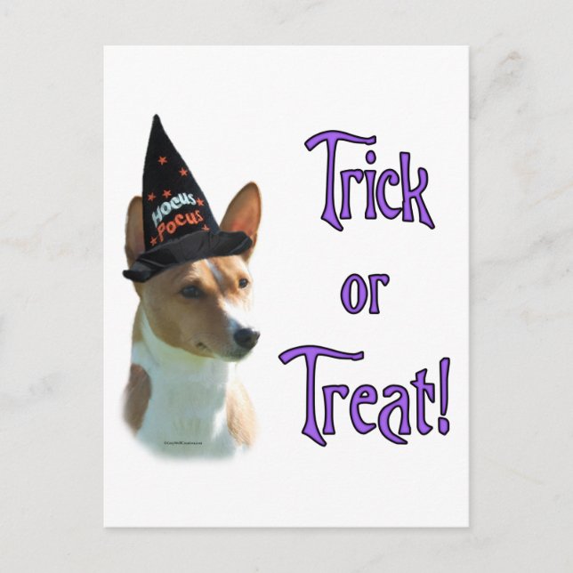 Cartão Postal Basenji Trick (Frente)