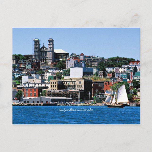 Cartão Postal Basílica na costa na Rua. (Frente)