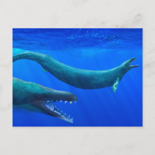 Cartão postal Basilosaurus (baleia pré-histórica)