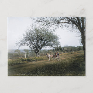 Cartão Postal Basking Ridge NJ, Saída para uma Unidade Doméstica