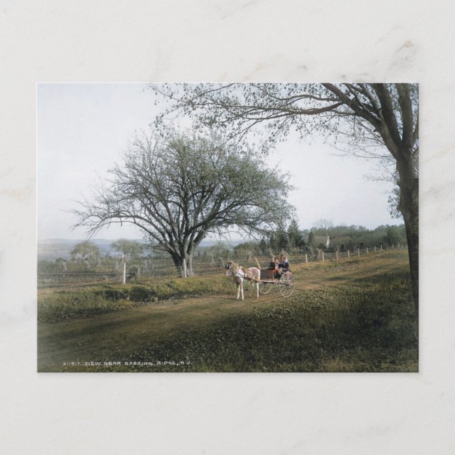 Cartão Postal Basking Ridge NJ, Saída para uma Unidade Doméstica (Frente)