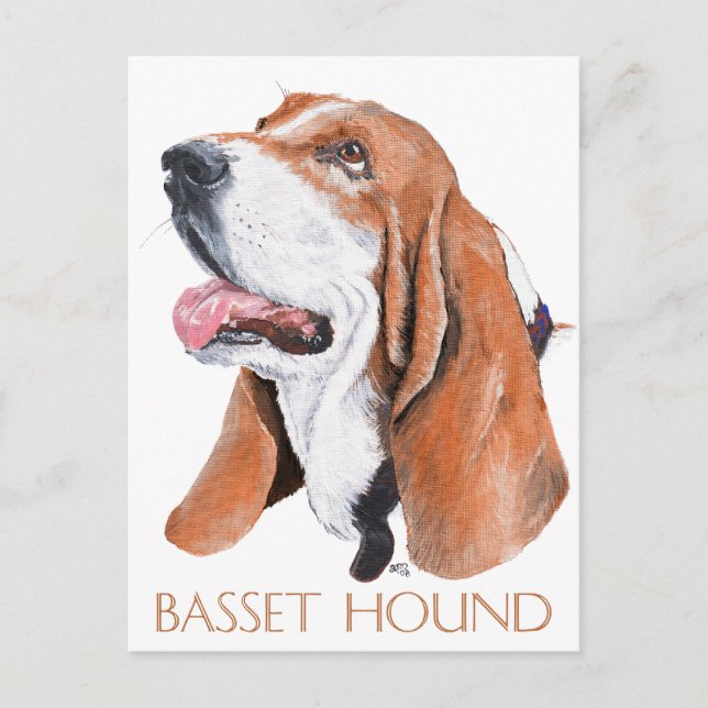 Cartão Postal Basset Hound (Frente)