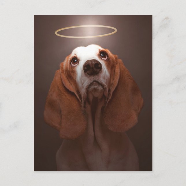 Cartão Postal Basset Hound Angel (Frente)