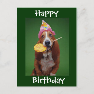 Cartão Postal Basset Hound Birthday