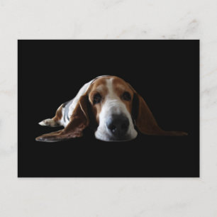 Cartão Postal Basset Hound deitado