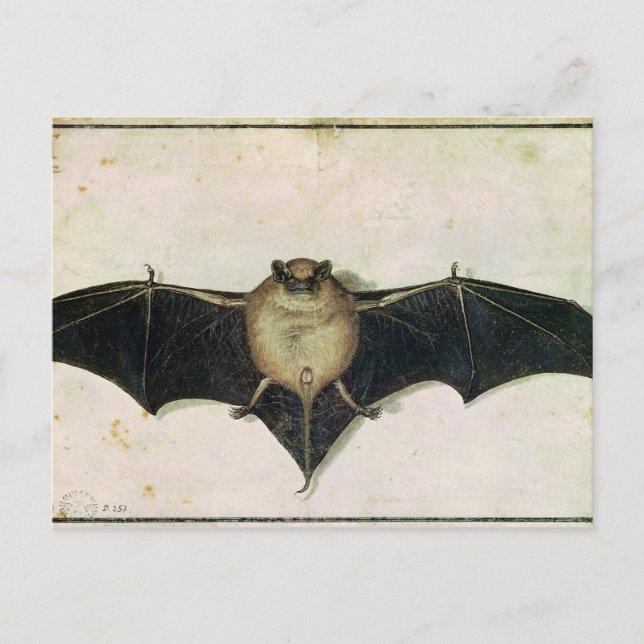 Cartão Postal Bat, 1522 (Frente)