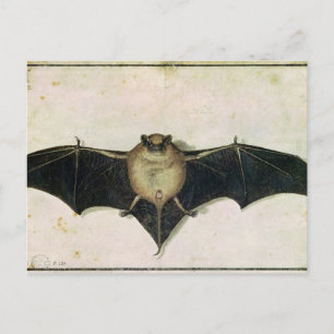 Cartão Postal Bat, 1522