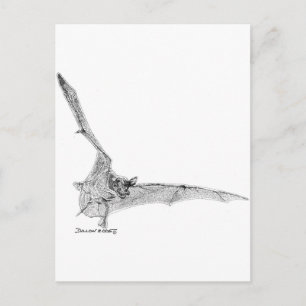 Cartão Postal Bat Personalizado Livre