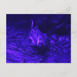 Cartão Postal Bat Vampiro