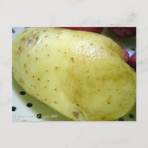 Cartão Postal Batata Dourada Yukon