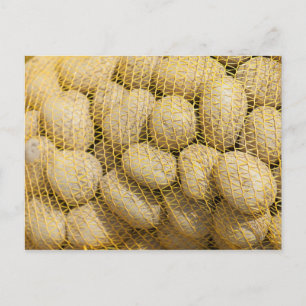 Cartão Postal Batatas