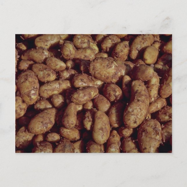 Cartão Postal Batatas (Frente)