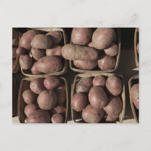 Cartão Postal Batatas no mercado de um agricultor de Nova Jersey