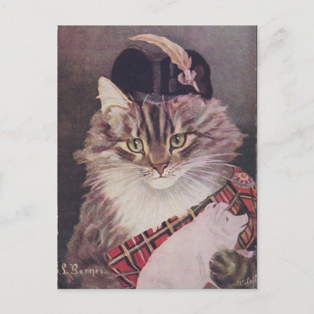 Cartão Postal Bate-papo Joueur de cornemuse (Frente)