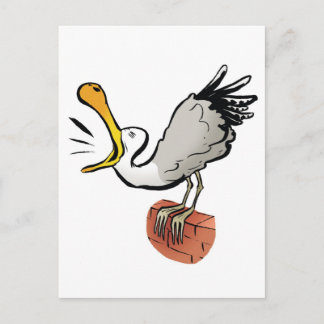 Cartão Postal Bate-papo na gaivota