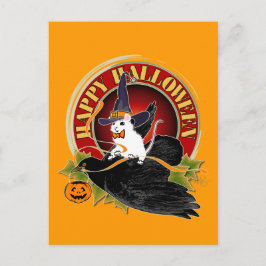 Cartão Postal Bater No Rato Branco Noturno