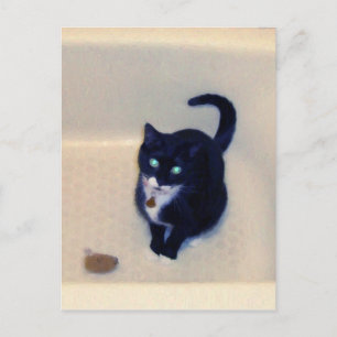 Cartão Postal Bathtub Playtime