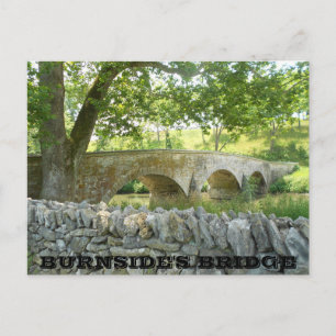 Cartão Postal Battle of Antietam: Burnside's Bridge Postcard