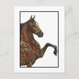 Cartão Postal Bay Harness Pony 3