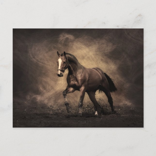 Cartão Postal Bay Horse (Frente)