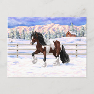 Cartão Postal Bay Pinto Brown Skewbald Gypsy Vanner Tinker Horse