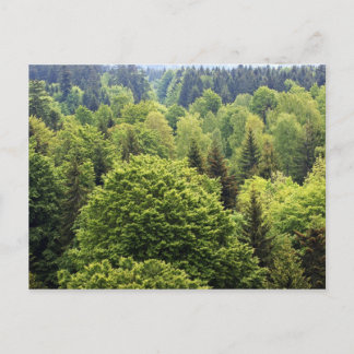 Cartão Postal Bayerischer Wald