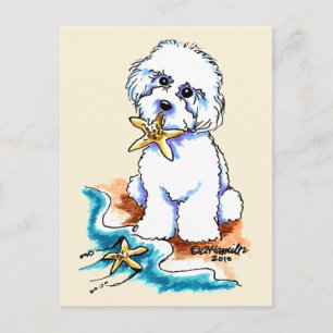 Cartão Postal Beach Babe Bichon Frise