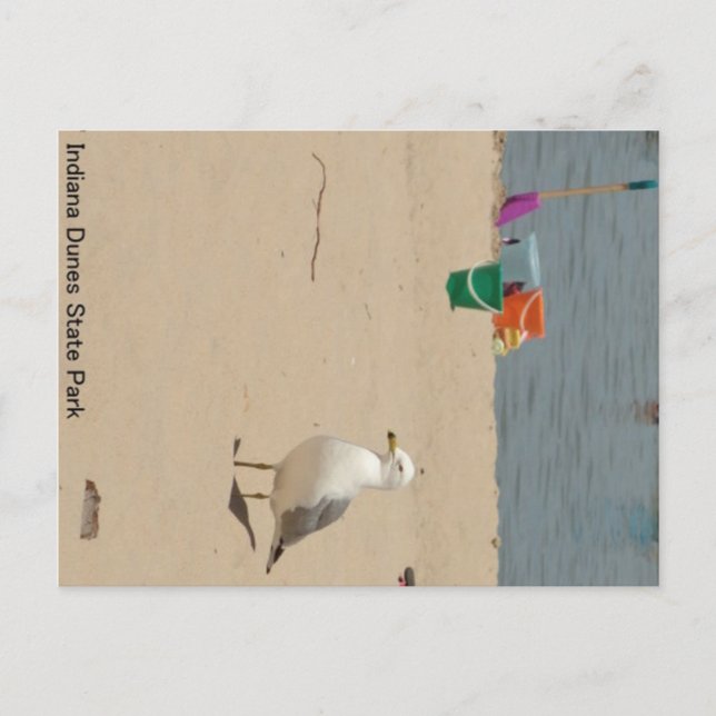 Cartão Postal Beach Birdie (Frente)