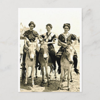 Cartão Postal Beach Burros