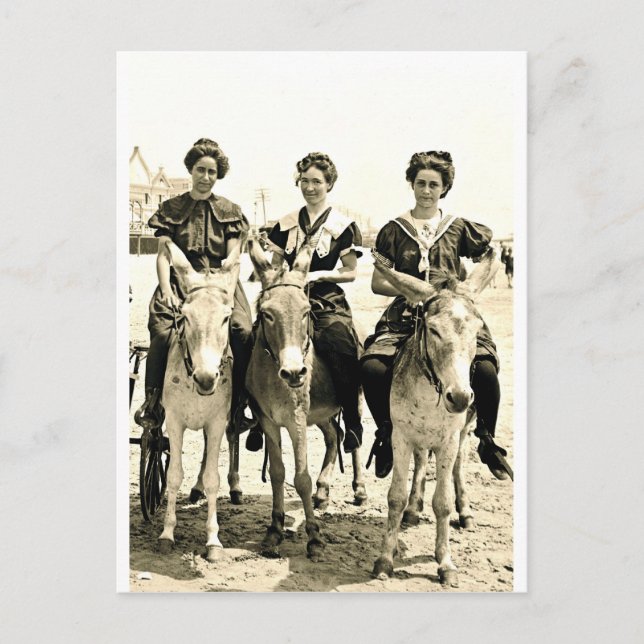 Cartão Postal Beach Burros (Frente)