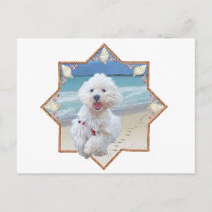 Cartão Postal Beach Run