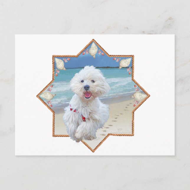 Cartão Postal Beach Run (Frente)