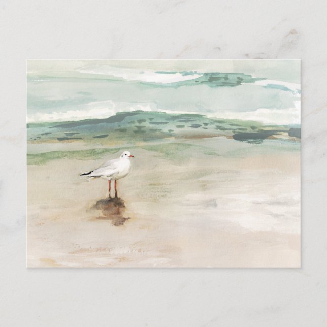 Cartão Postal Beach Seagull Cove (Frente)