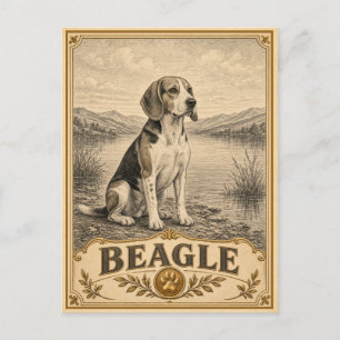 Cartão Postal Beagle, Cachorro Antigo Patrimônio