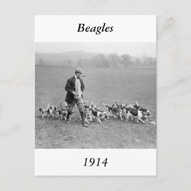 Cartão Postal Beagle Club, 1914 (Frente)