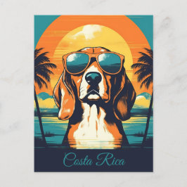 Cartão Postal Beagle com óculos de sol numa praia tropical Perso